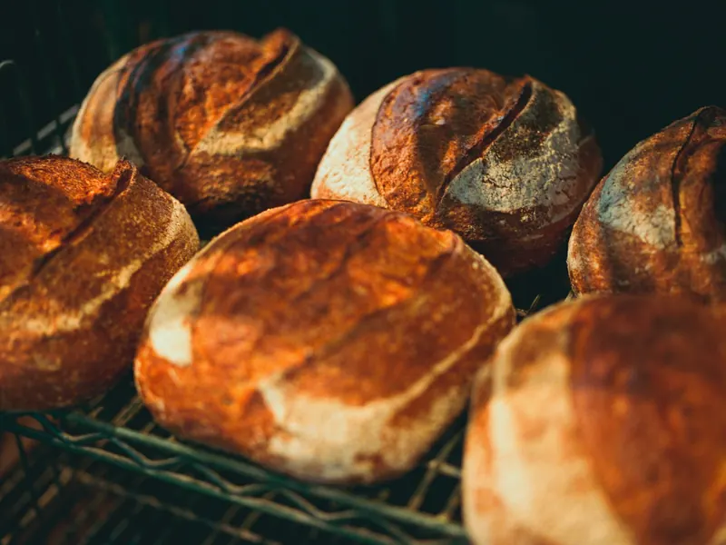 Des pains au levain à la croûte dorée, encore sur la grille du four